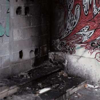 Album Various: In Trux We Pux 04