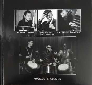 2LP Various: Audiophile Analog Collection Vol. 1 DLX