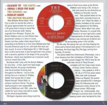 CD Various: Bo Diddley Is A... Songwriter