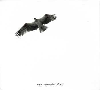 CD Various: Capo Verde Terra D'Amore Vol.1 (Canzoni Di Cesaria Evora E Teofilo Chantre In Italiano)