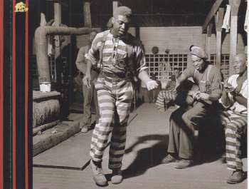 CD Various: Destination Jail Vol. 2 (24 More Songs From Behind The Bars)