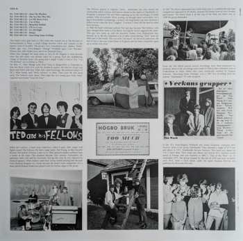 LP Various: Diggin' For Gold Vol 15 (A Collection Of Demented 60' R&B/Punk & Mesmerizing Pop.) LTD