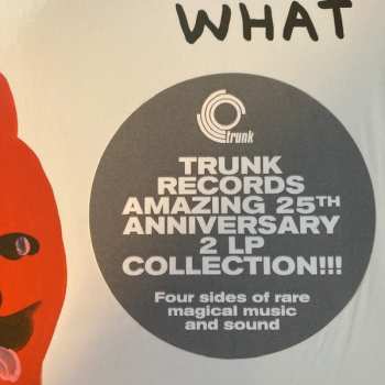 2LP Various: Do What You Love CLR