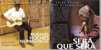 CD Various: From Bakabush - The First Ten Years Of Stonetree