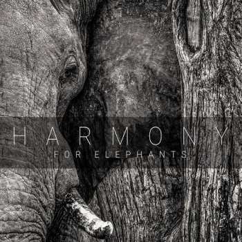 Album Various: Harmony For Elephants