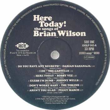 LP Various: Here Today! (The Songs of Brian Wilson) CLR