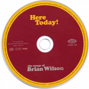 CD Various: Here Today! (The Songs Of Brian Wilson)