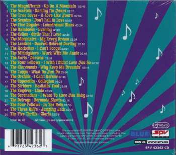 CD Various: Hesitatin' Fool