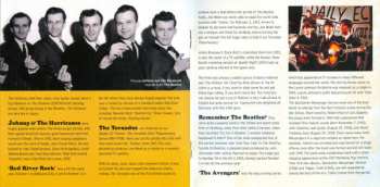 CD Various: Instrumental Nuggets Volume Two