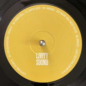 4LP Various: Molten Mirrors - A Decade Of Livity Sound LTD