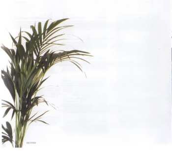 2CD Various: Pure Global Chillout