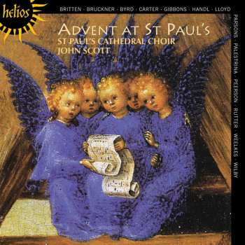 Album Various: St. Paul's Cathedral Choir - Advent