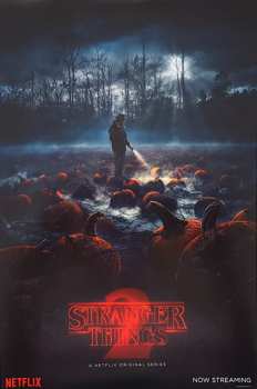 2LP Various: Stranger Things (Music From The Netflix Original Series)