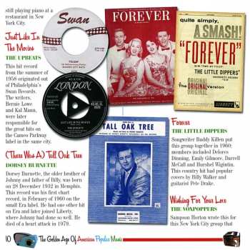 CD Various: The Golden Age Of American Popular Music