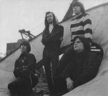CD Various: The Seeds: Pushin' Too Hard (Original Soundtrack)