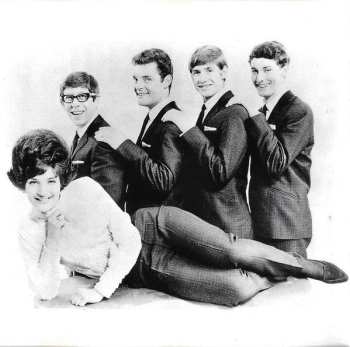 CD Various: The Spirit Of The 60s (1965 The Hits Don't Stop)