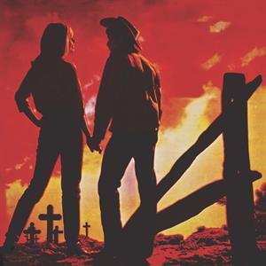 Album Various: Troubled Troubadours
