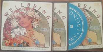 3CD/Dobozkészlet Various: Wellbeing - Balance-Calm-Tranquility 