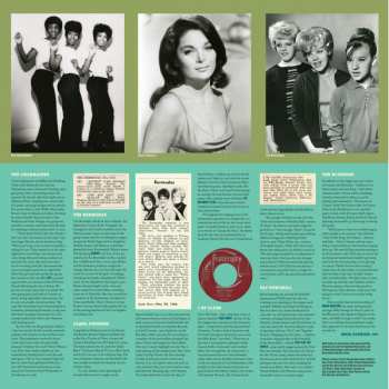 LP Various: Would She Do That For You?! Girl Group Sounds USA 1964-68 