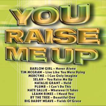 Album Various: YOU RAISE ME UP