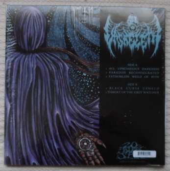 LP Vasaeleth: All Uproarious Darkness