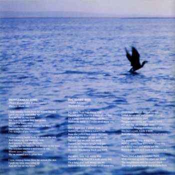 CD Vashti Bunyan: Just Another Diamond Day