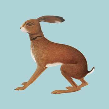 Album Vashti Bunyan: Lookaftering (Expanded Edition)