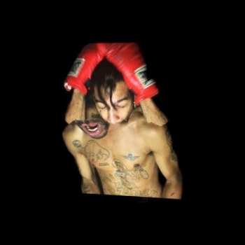 LP Velvet Negroni: Bulli