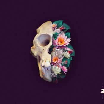 Album Verneri Pohjola: Monkey Mind