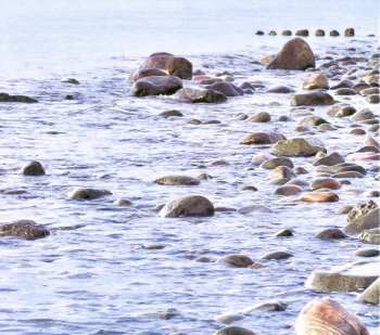 CD Veronica Mortensen: Catching Waves