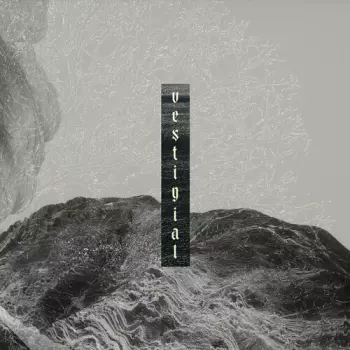Vestigial: Descending Vastness