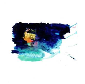 CD Vibracathedral Orchestra: Dabbling With Gravity And Who You Are