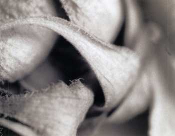 2CD Vidna Obmana: The River Of Appearance