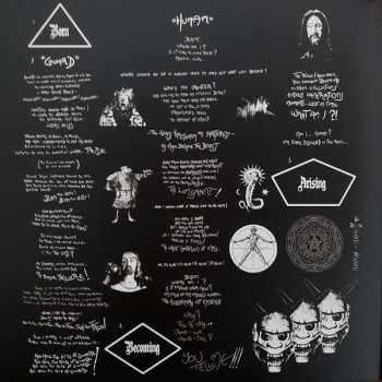 LP Vitam Aeternam: The Self-Aware Frequency LTD | NUM | CLR