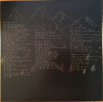 LP Vivian Girls: Share The Joy CLR | LTD