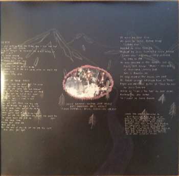 LP Vivian Girls: Share The Joy CLR | LTD