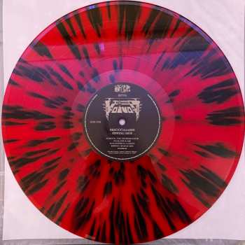 6LP/DVD/Dobozkészlet Voïvod: Forgotten In Space DLX | LTD | CLR