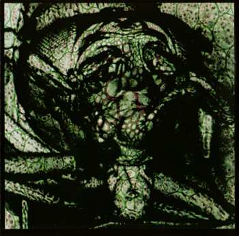 CD Voïvod: Phobos