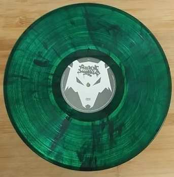 LP Volumes: Different Animals CLR | LTD