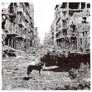 Album Vox Low: Keep On Falling