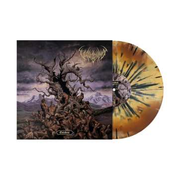 Album Vulvodynia: Entabeni