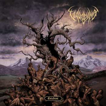 CD Vulvodynia: Entabeni