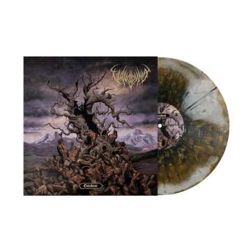 LP Vulvodynia: Entabeni Ltd.