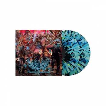 2LP Vulvodynia: Praenuntius Infiniti LTD | CLR