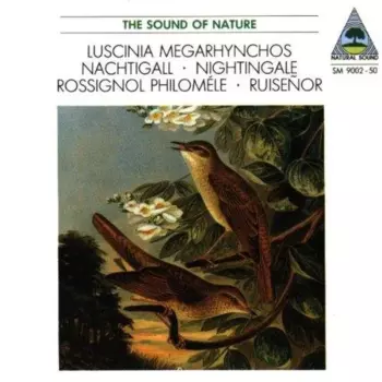 Walter Tilgner: Luscinia Megarhynchos • Nachtigall • Nightingale • Rossignol Philomèle • Ruiseñor