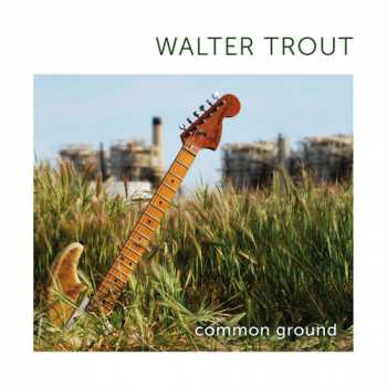 CD Walter Trout: Common Ground