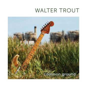 CD Walter Trout: Common Ground