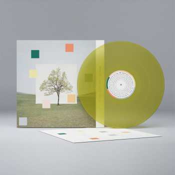 LP Washed Out: Notes From A Quiet Life