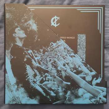 5LP/Dobozkészlet We Came As Romans: WCAR VIP Vinyl Box Set LTD | CLR