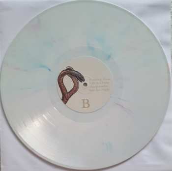 LP Weddings: Book Of Spells